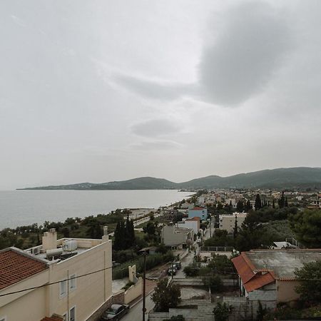 Niki House Volos Exterior foto